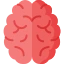 Neurology