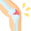 Orthopaedics
