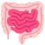 Gastroenterology